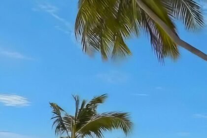 Where are the Maldives islands located